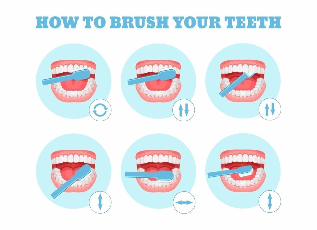 Diagram showing how to brush your teeth